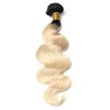 Platinum Blonde Ombre (1B/613)