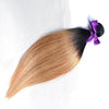 Honey Blonde Ombre (1B/27)