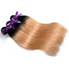 Honey Blonde Ombre (1B/27)