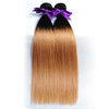 2 Honey Blonde Ombre (1B/27) Bundles