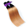 2 Honey Blonde Ombre (1B/27) Bundles