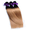 Honey Blonde Ombre (1B/27)