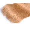 Honey Blonde Ombre (1B/27)