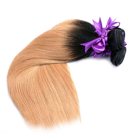 Honey Blonde Ombre (1B/27)