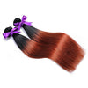 Auburn Ombre (1B/30)