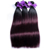 Merlot/ Burgundy Ombre (1B/99J)